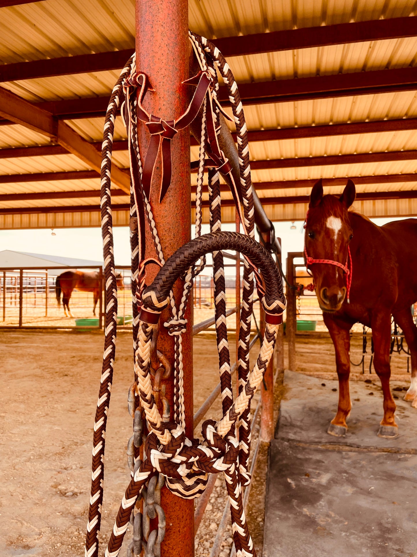 Cream Handmade Schooling Hackamore