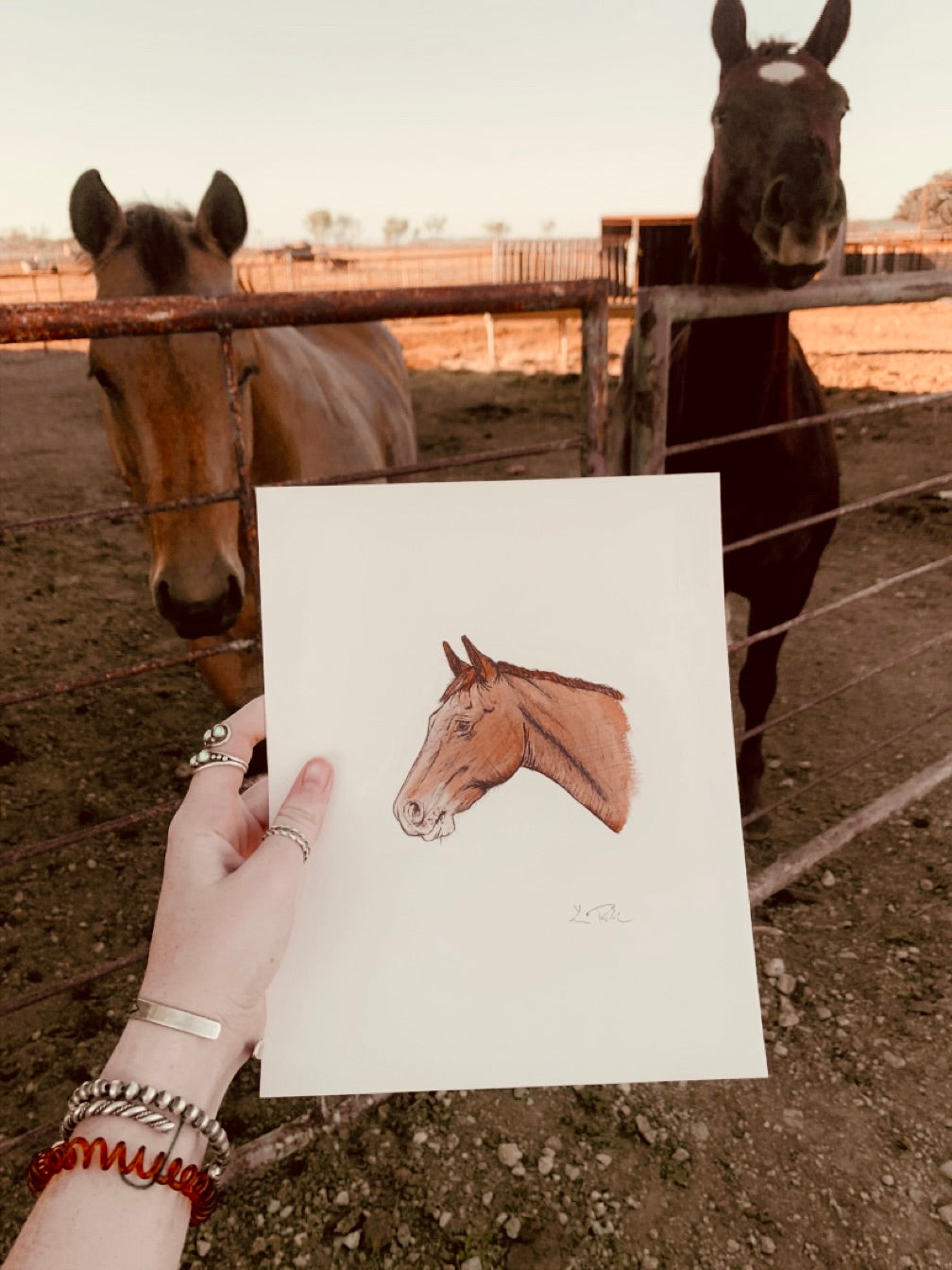 Red Roan Portrait Original