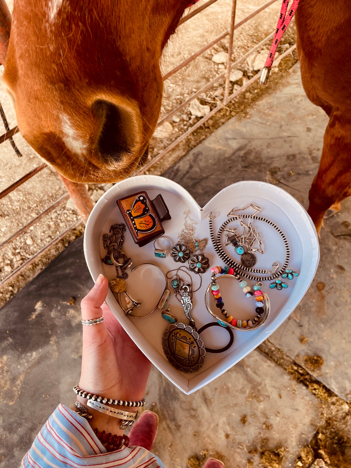 Wild at Heart Handpainted Valentine’s Box