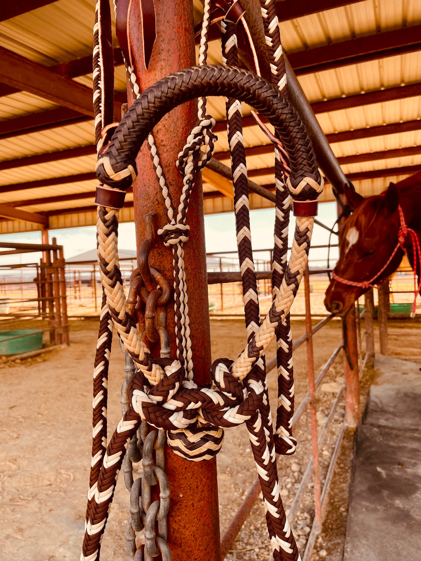 Cream Handmade Schooling Hackamore