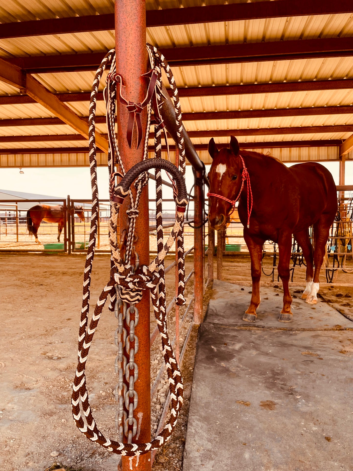 Cream Handmade Schooling Hackamore