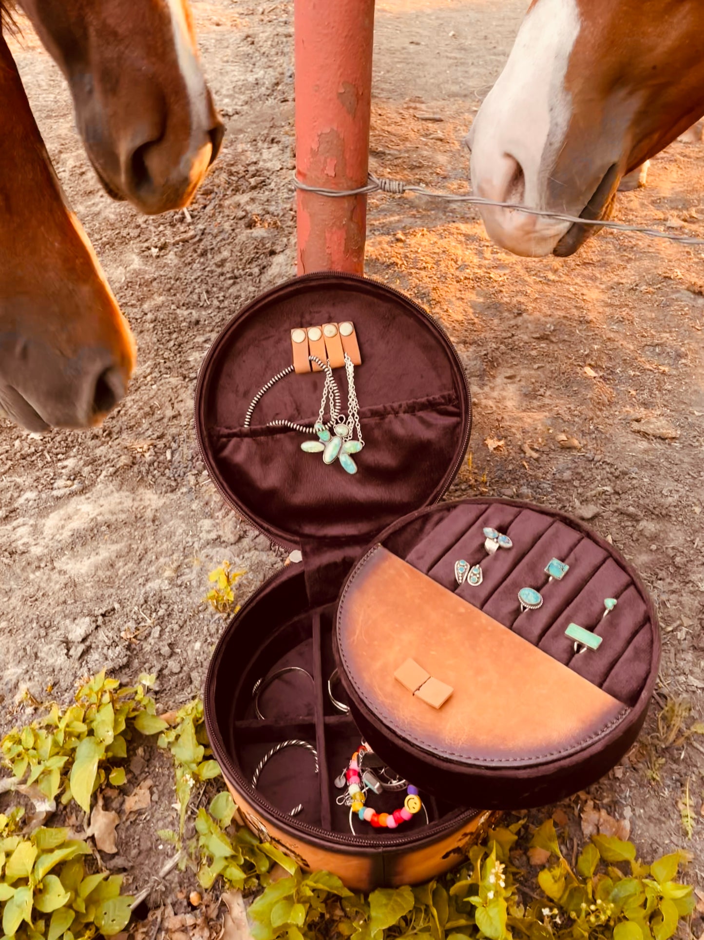 Damn Birds Handpainted Genuine Leather Jewelry Case