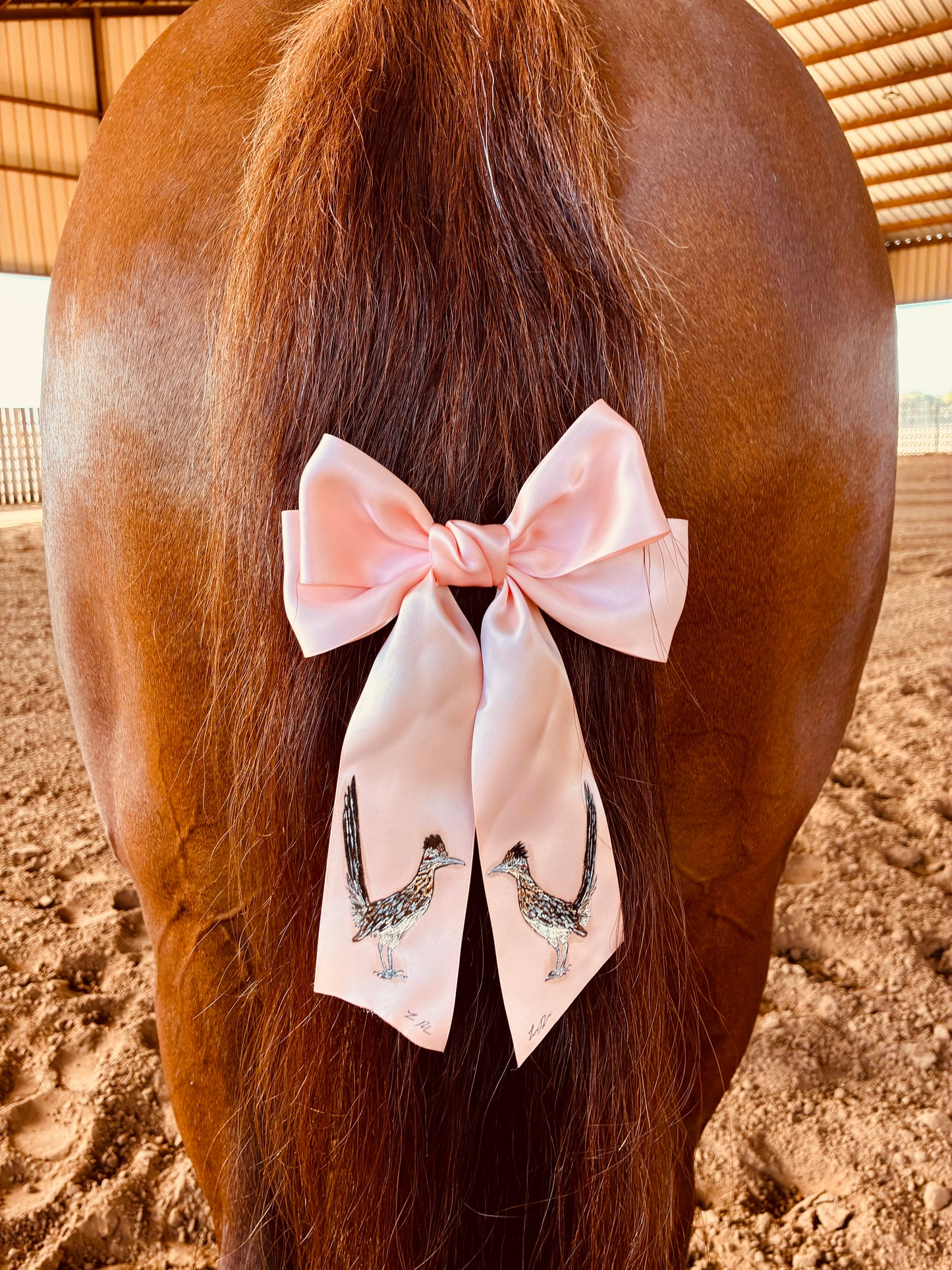 Roadrunner Pink HANDPAINTED Hairbow