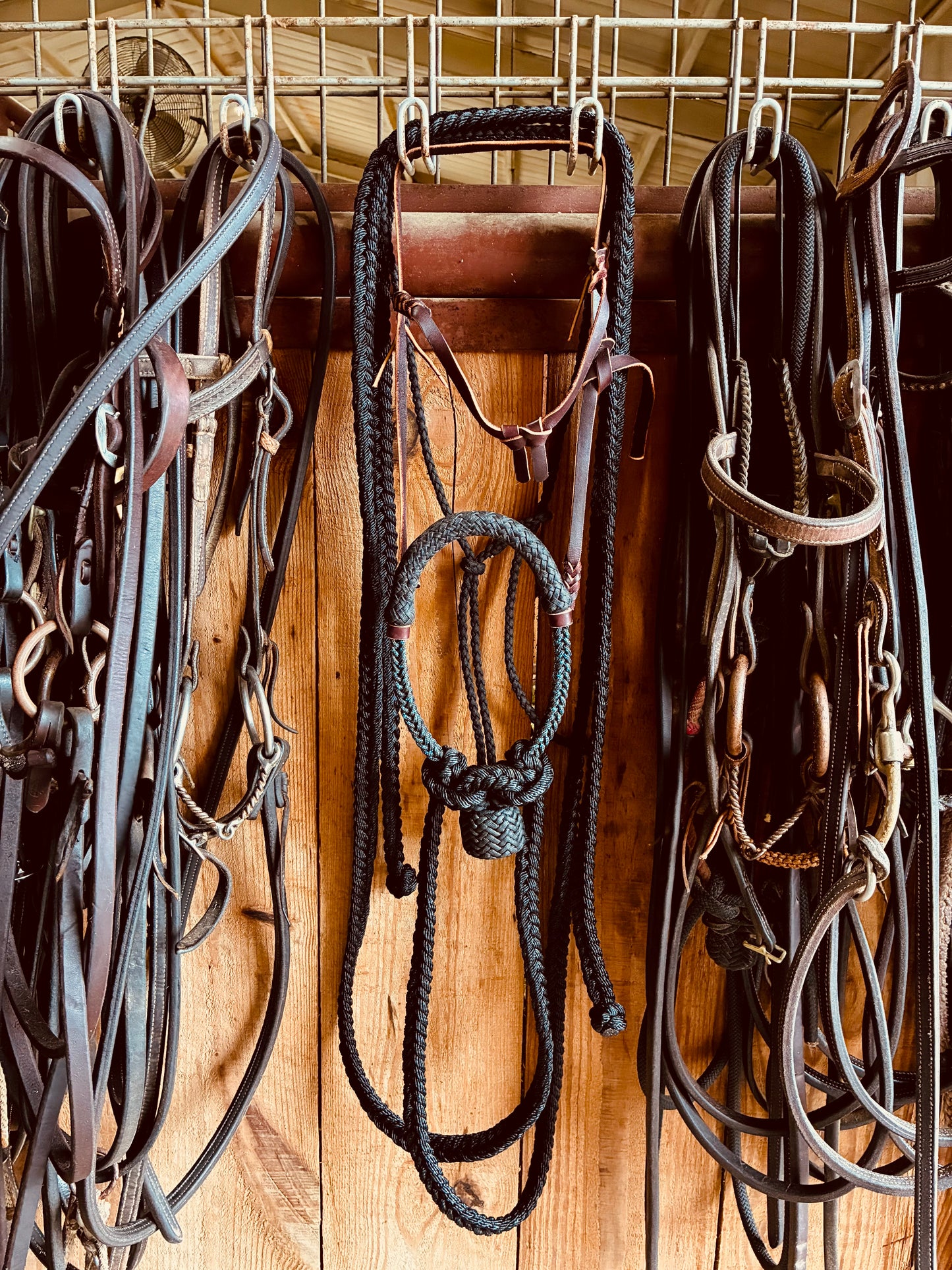 Rank Black Handmade Hackamore