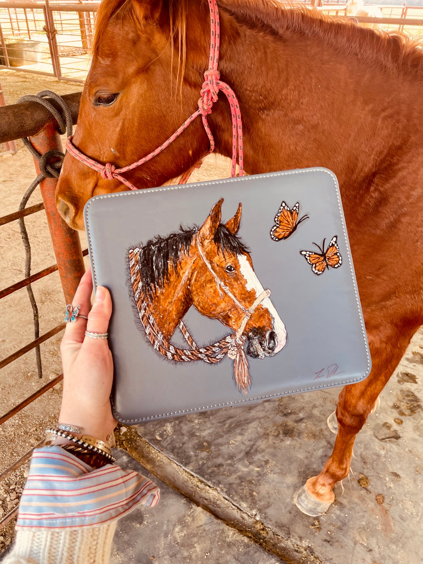 Butterfly Gal Large Jewelry Case