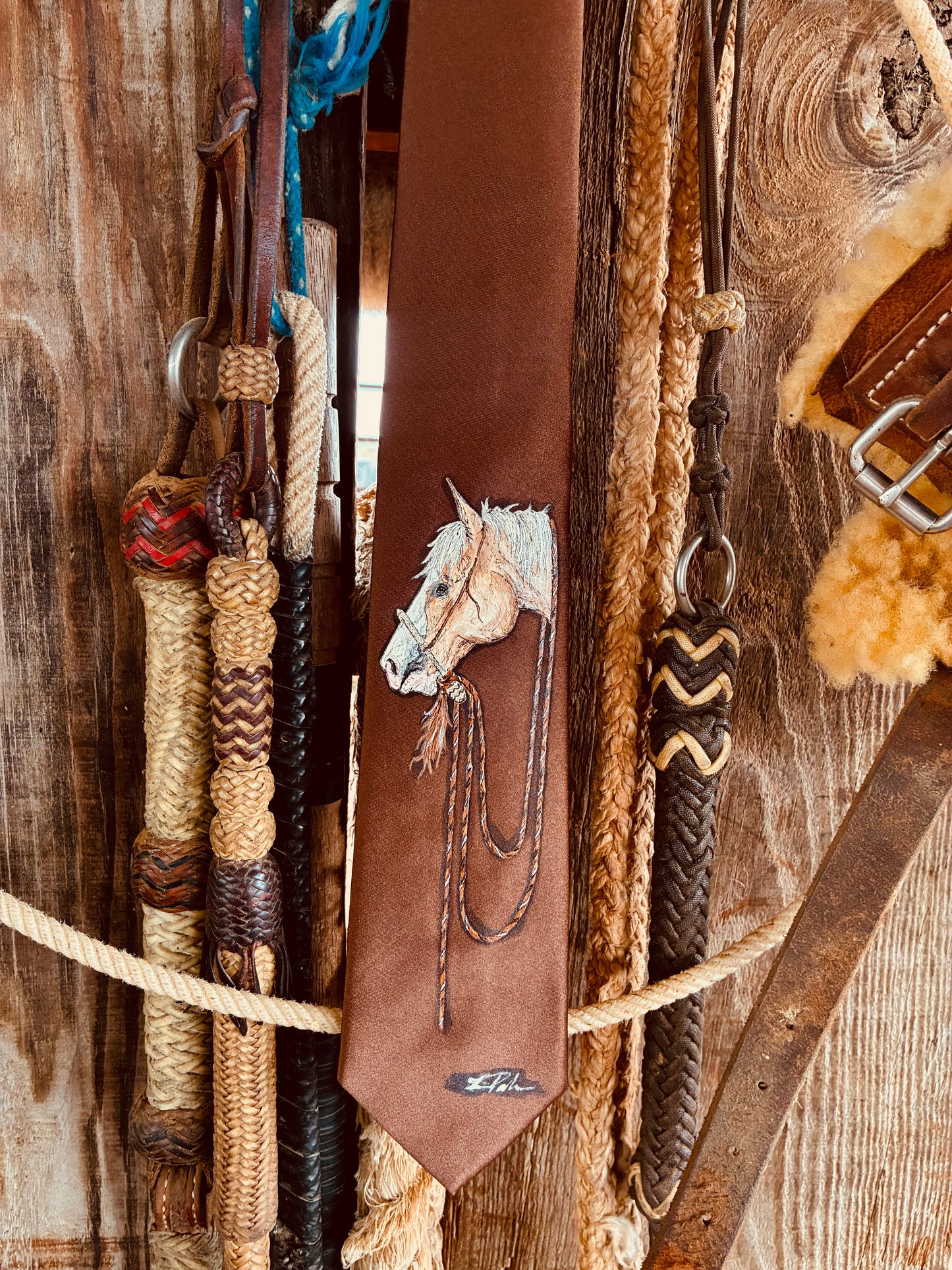 Tye Brown Handpainted Necktie