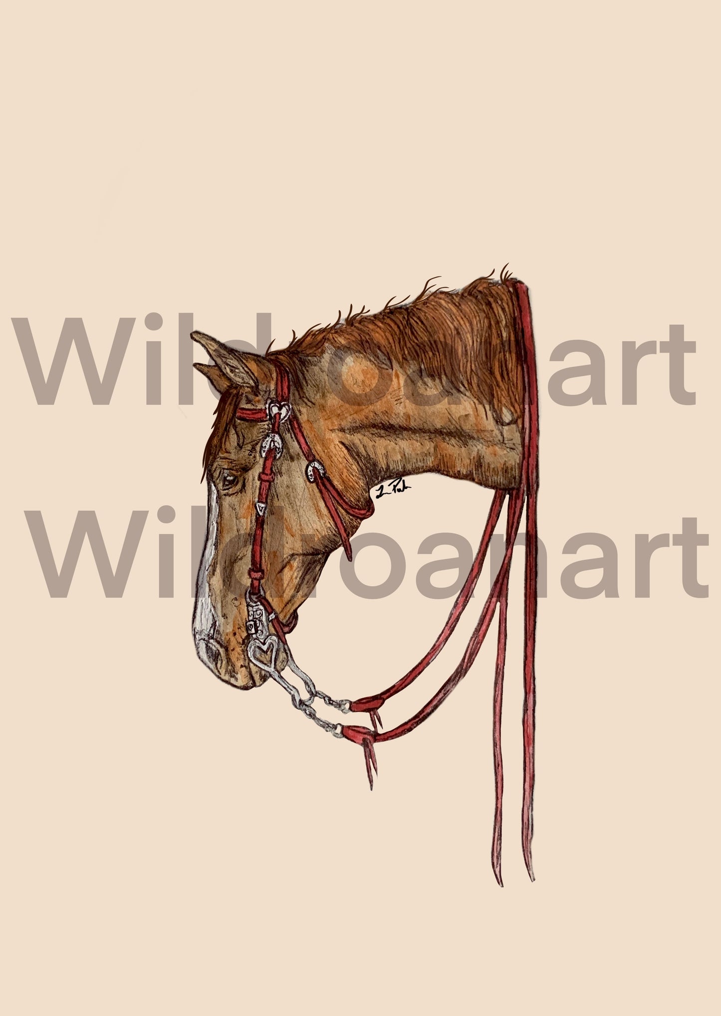 Lover Boy Digital Design