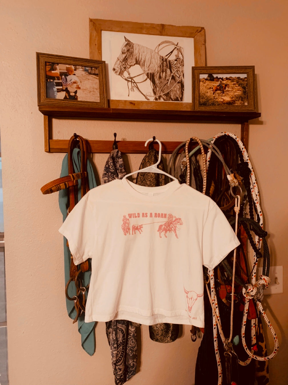 Wild As A Roan Cropped Tee