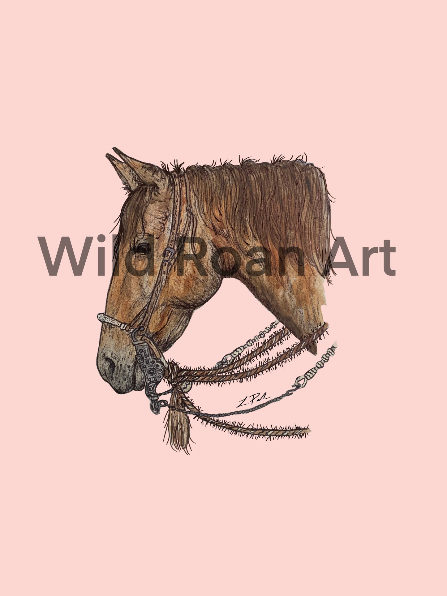 Sadie Digital Design