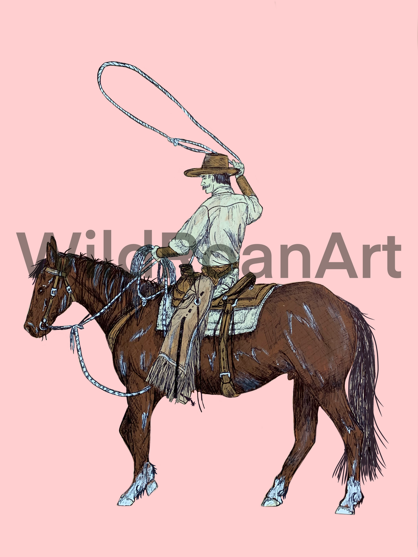 Buckaroo Digital Design