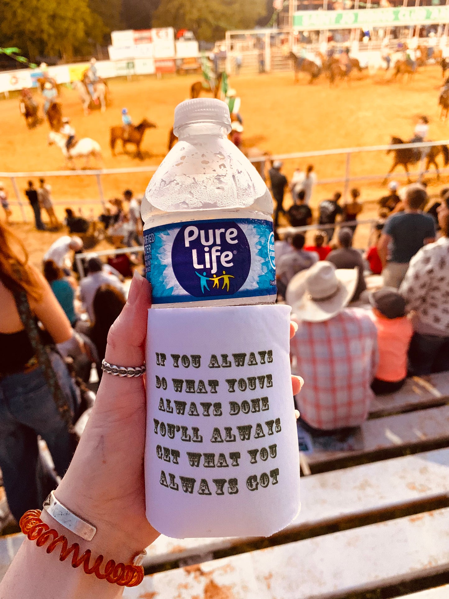 Wild Roan Art Koozie