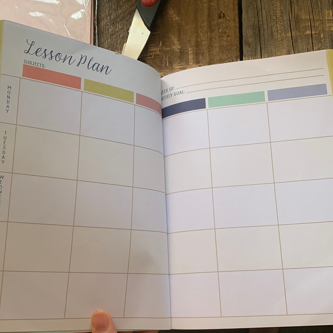 Teacher Reflection Journal