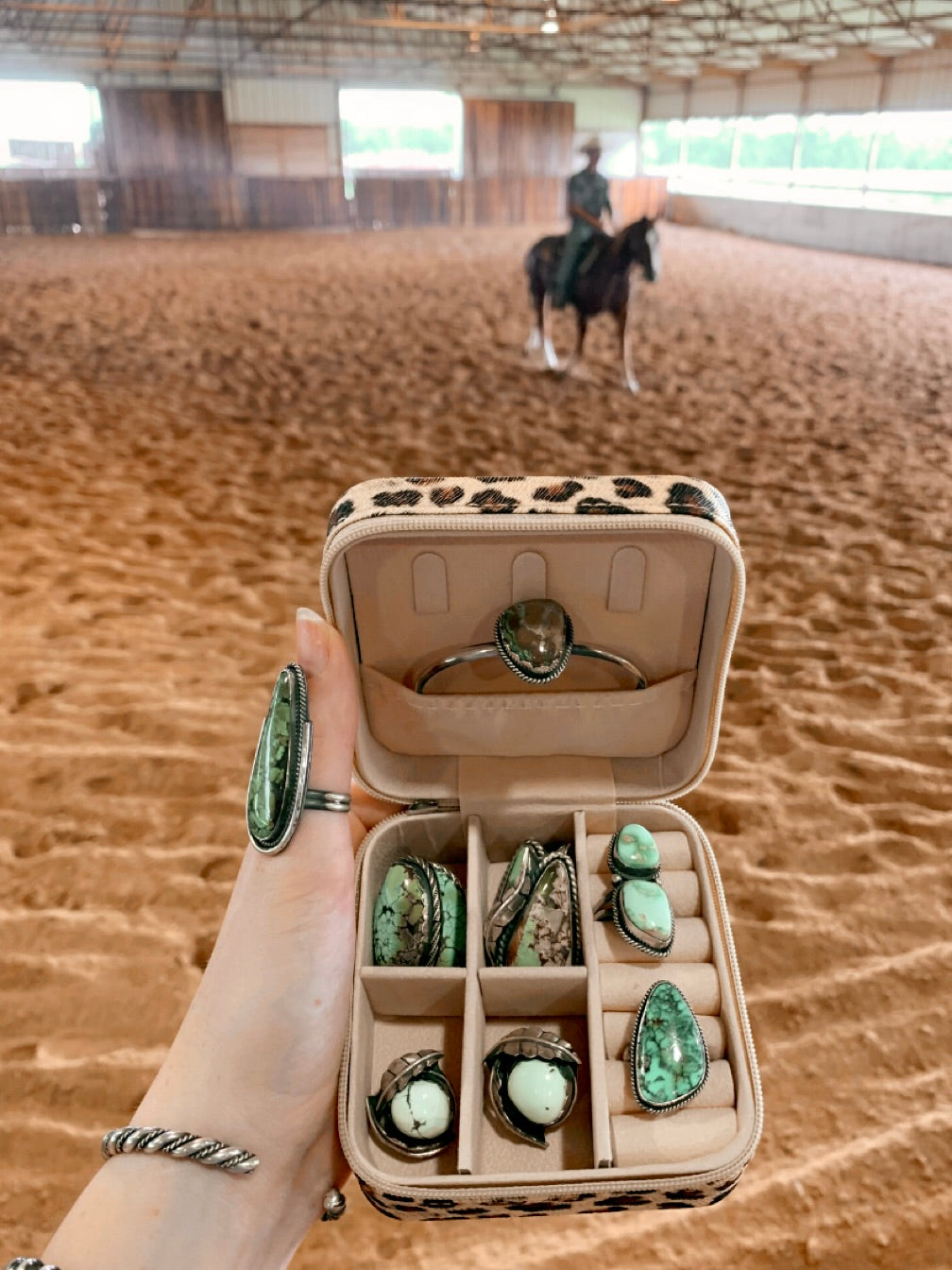 We Ride Mini Cheetah Case