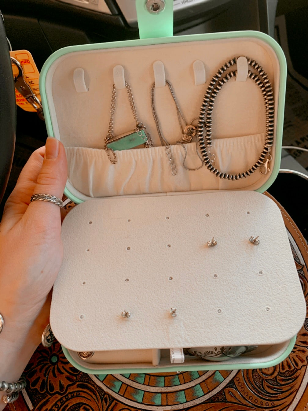 Behind the Bushes Large Turquoise Case