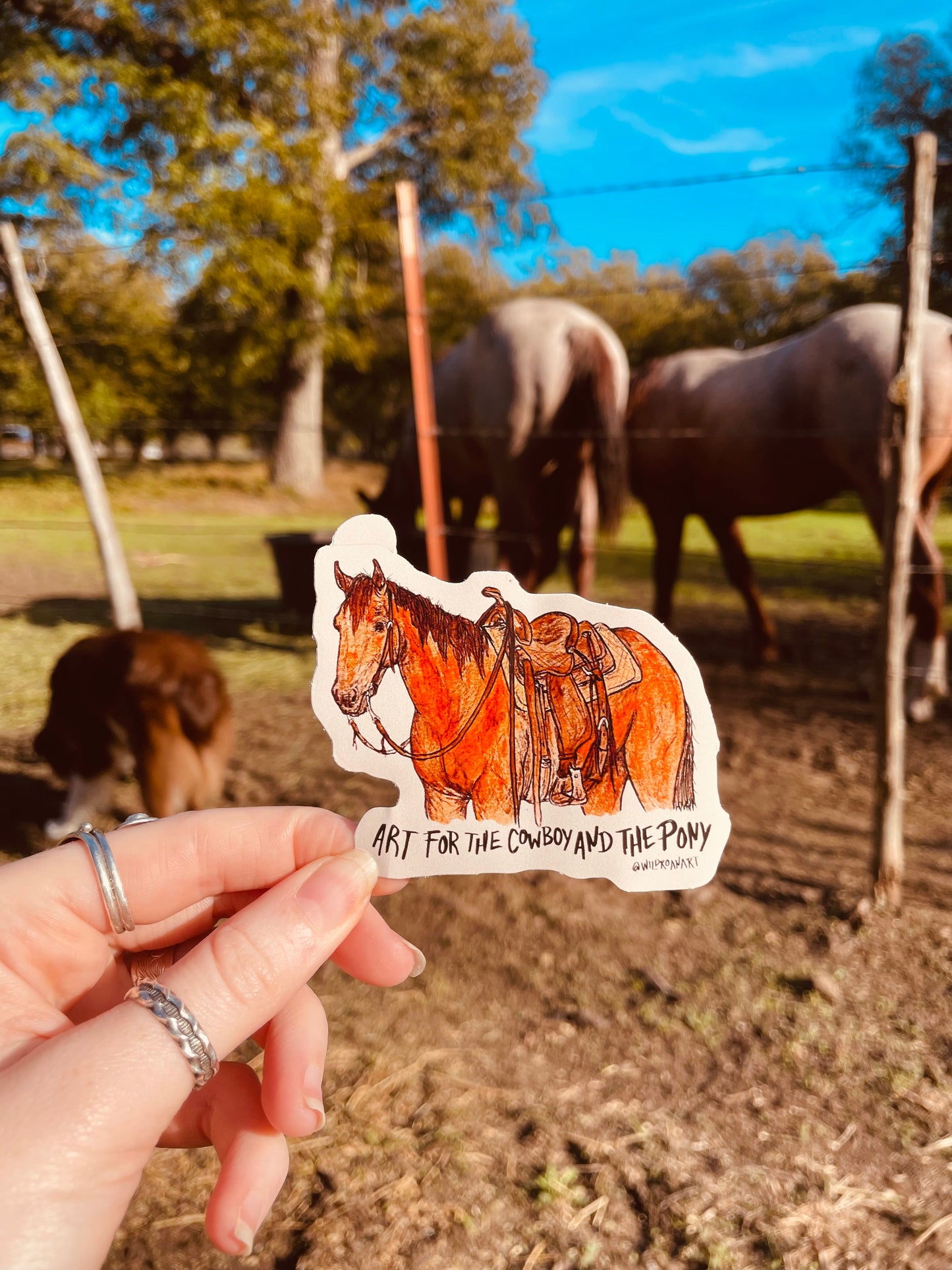 Cowboy and the Pony Sticker