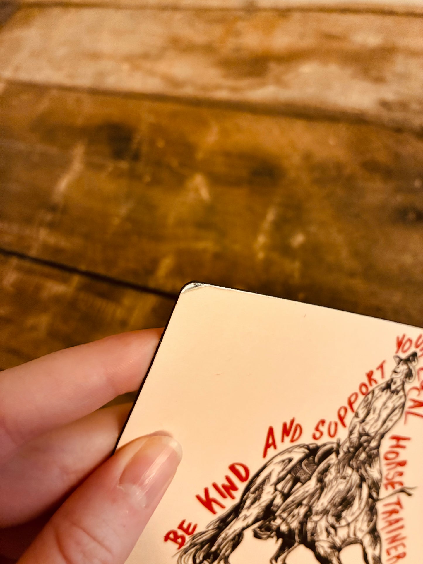 Damaged Horse Trainer Magnet 4x5.5