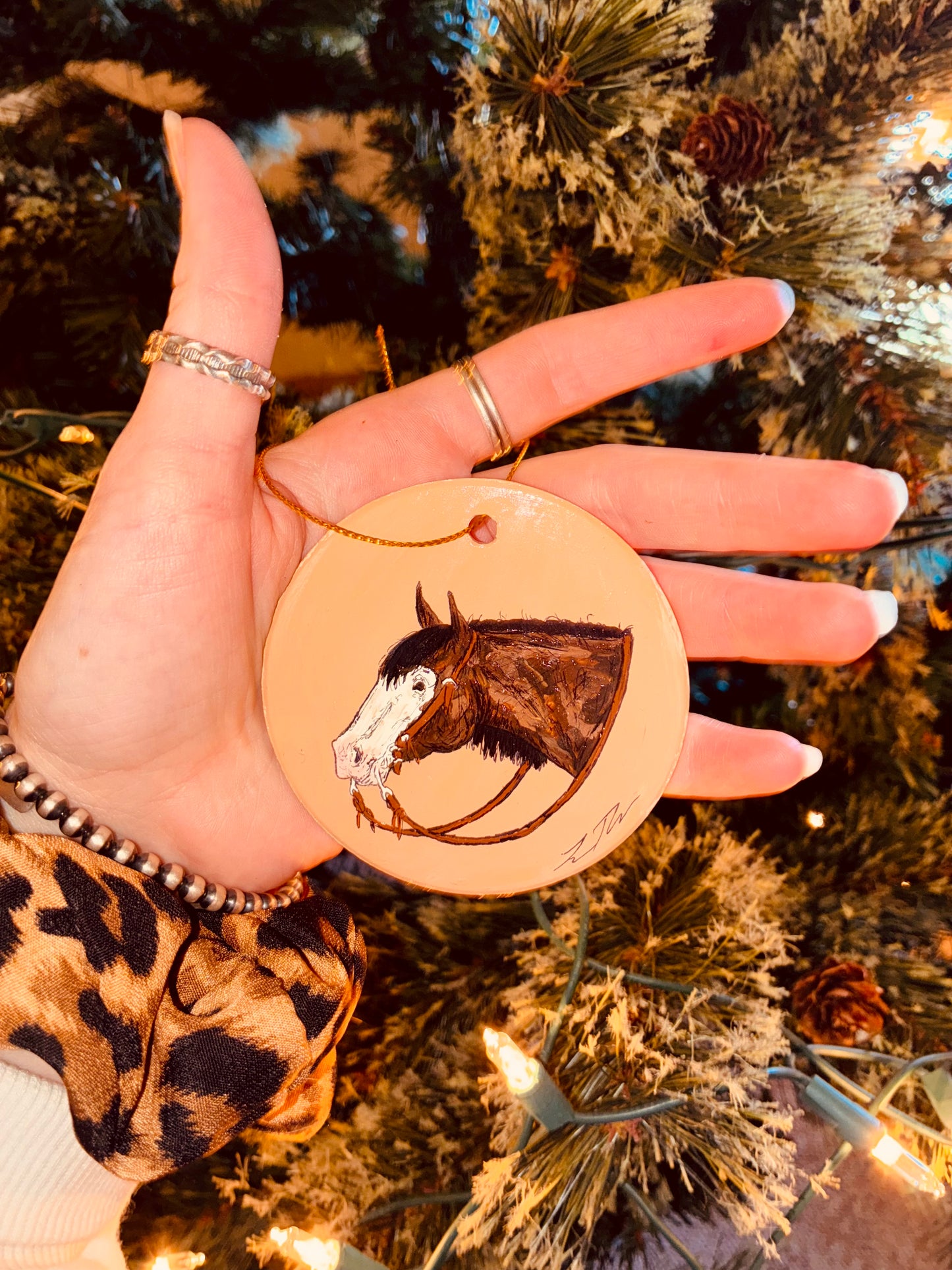 Caleb Hanpainted Ornament
