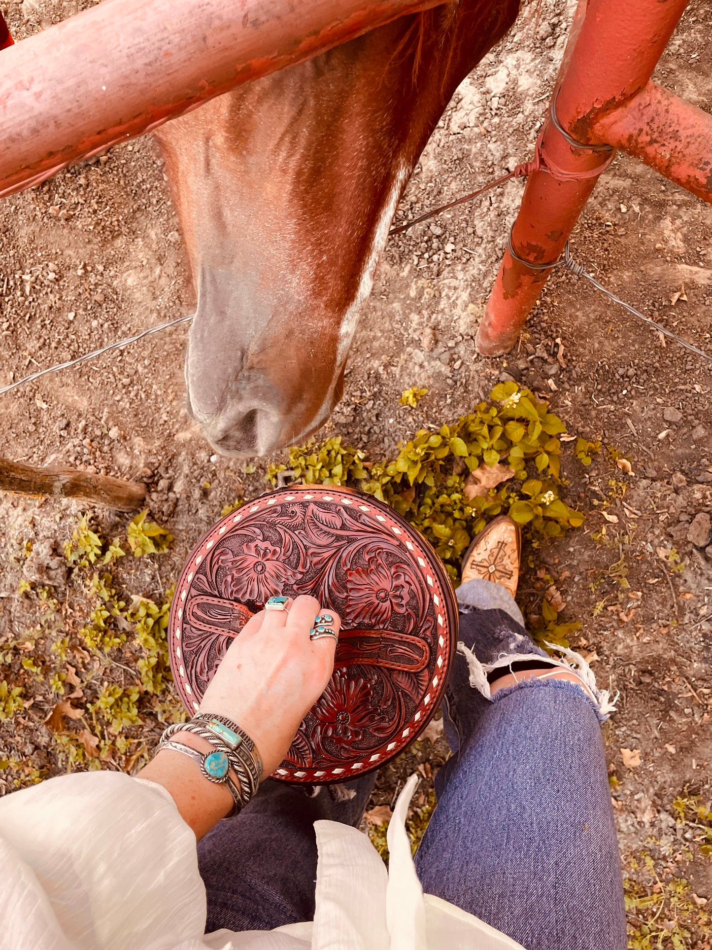 Buckaroo Handpainted Genuine Leather Jewelry Case