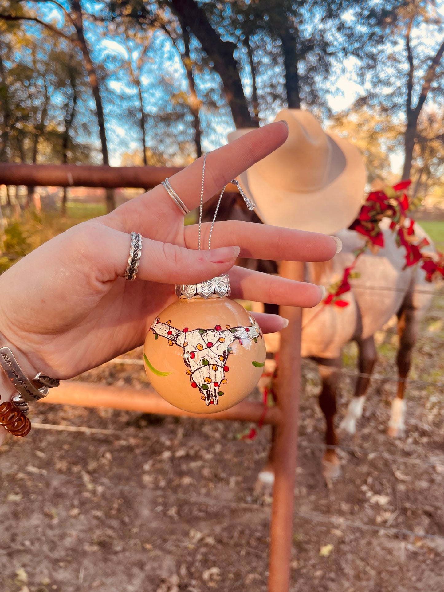 Howdy HANDPAINTED Ornament