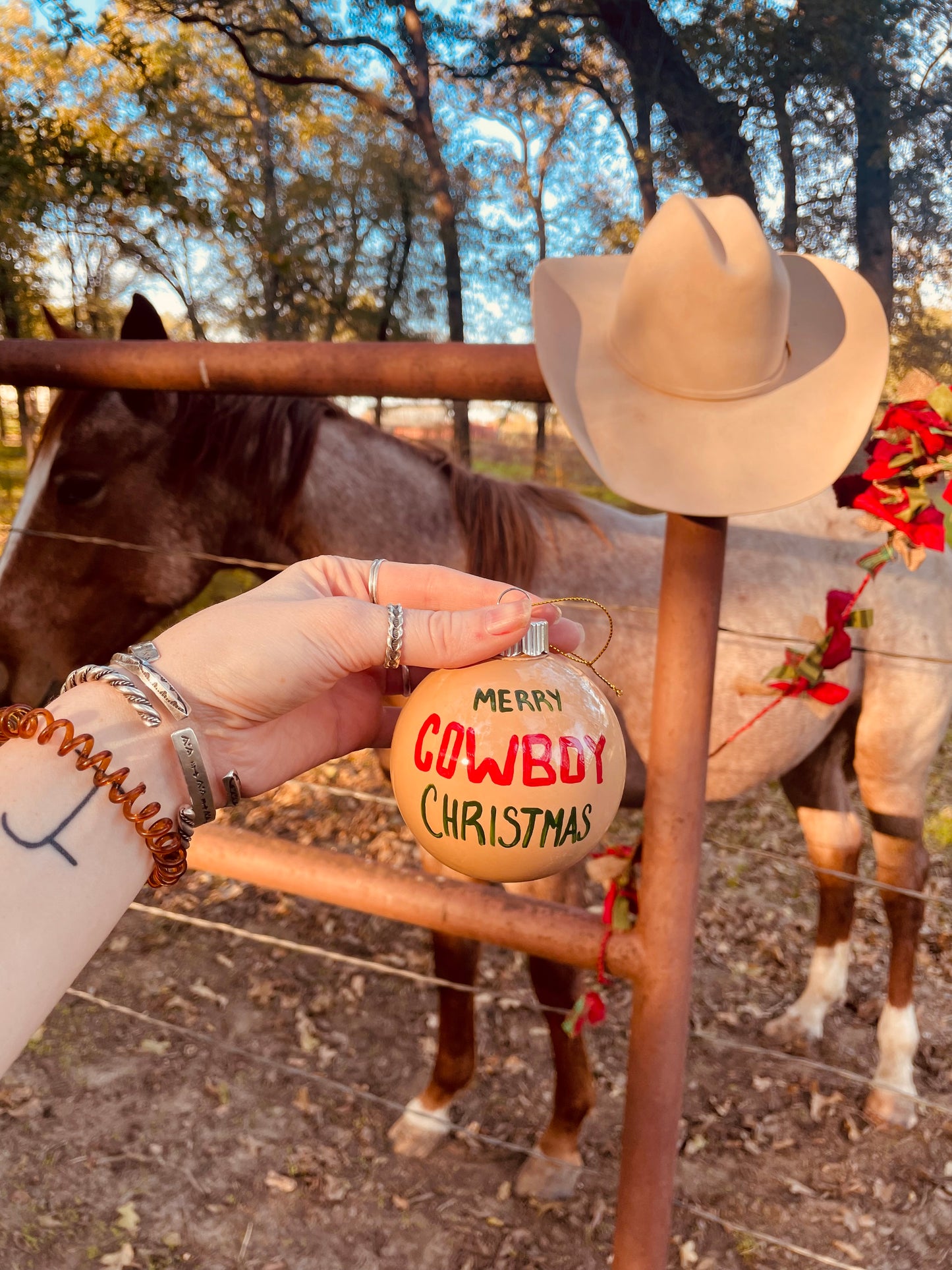 Horse Trainer Large HANDPAINTED Ornament