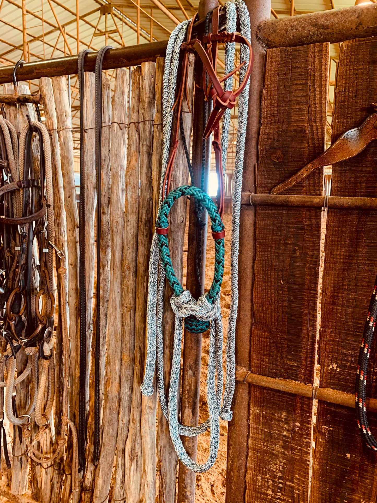 Handmade Hackamore