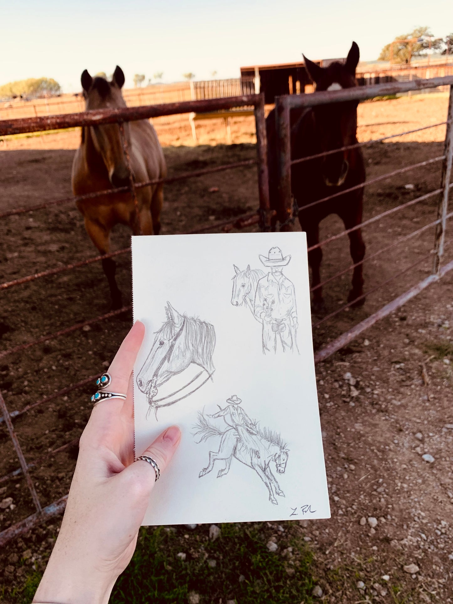 Cowboy Pencil Sketches