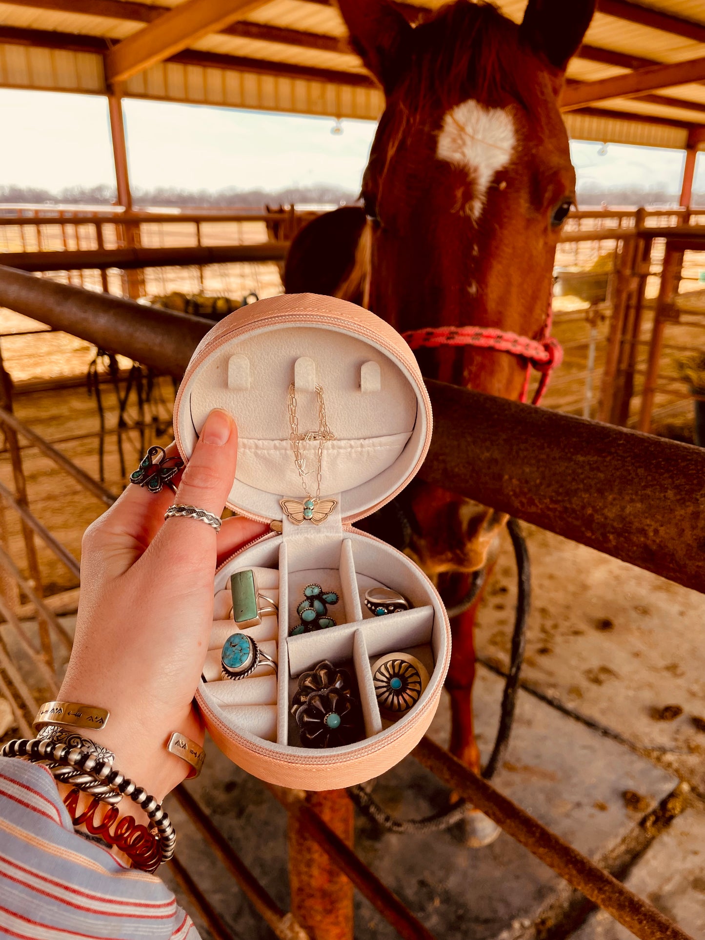 Bronc Babe Mini Round Case