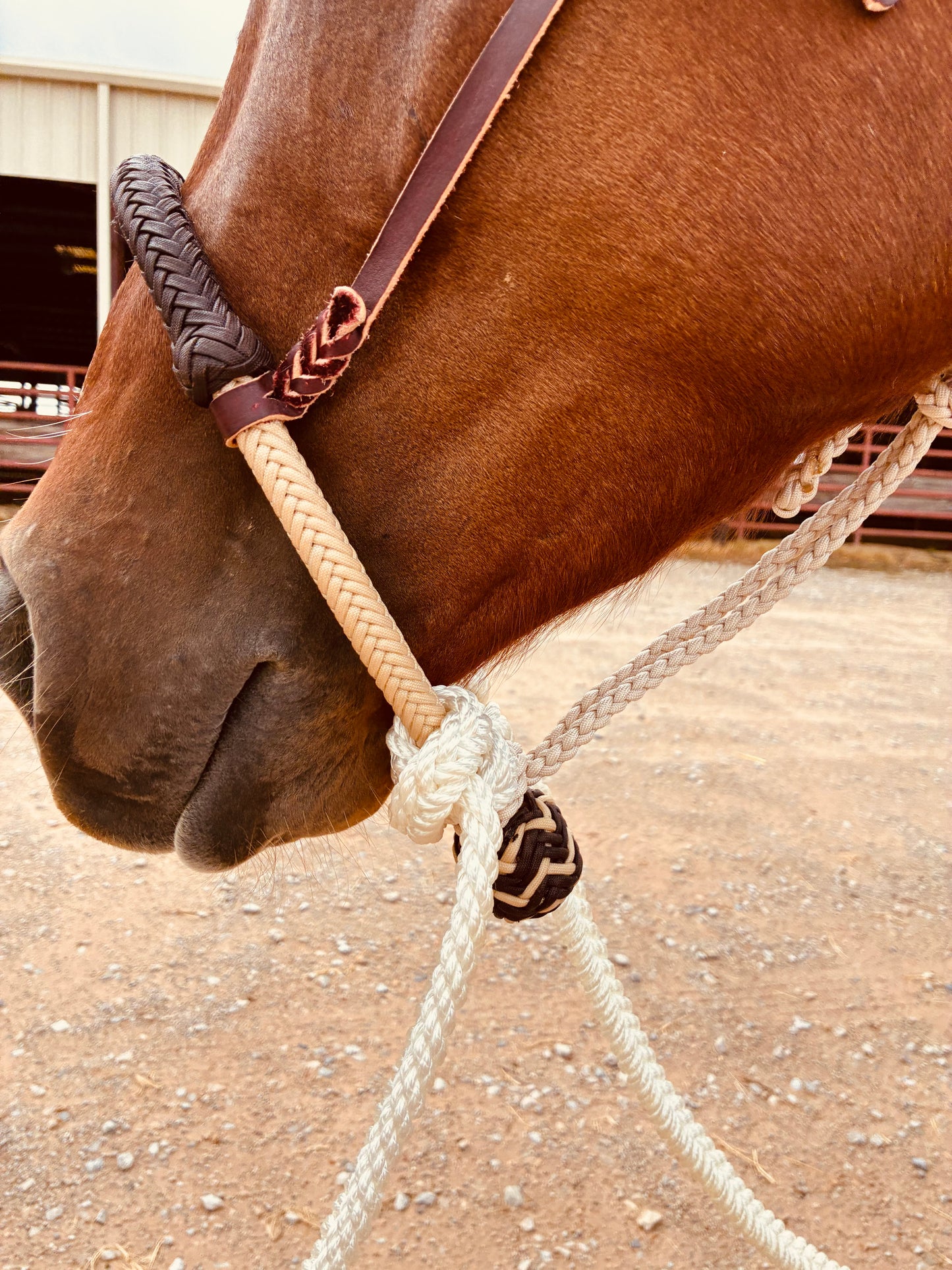 Savvy Handmade Hackamore