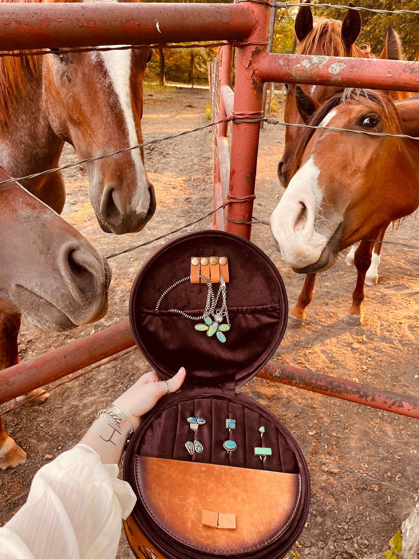 Buckaroo Handpainted Genuine Leather Jewelry Case