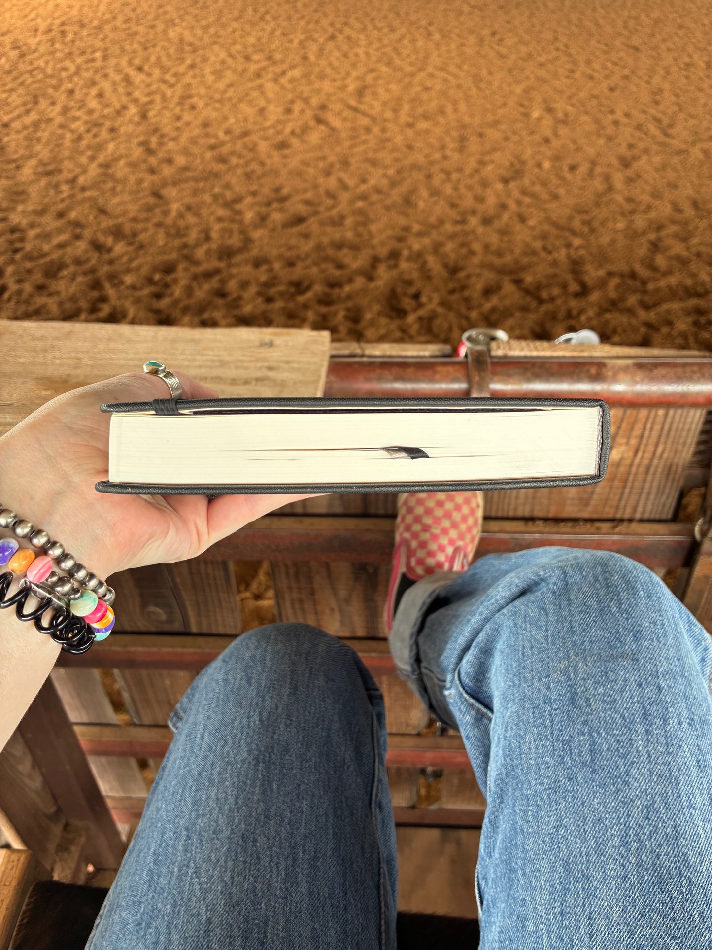 Newt Thick Lined Notebook