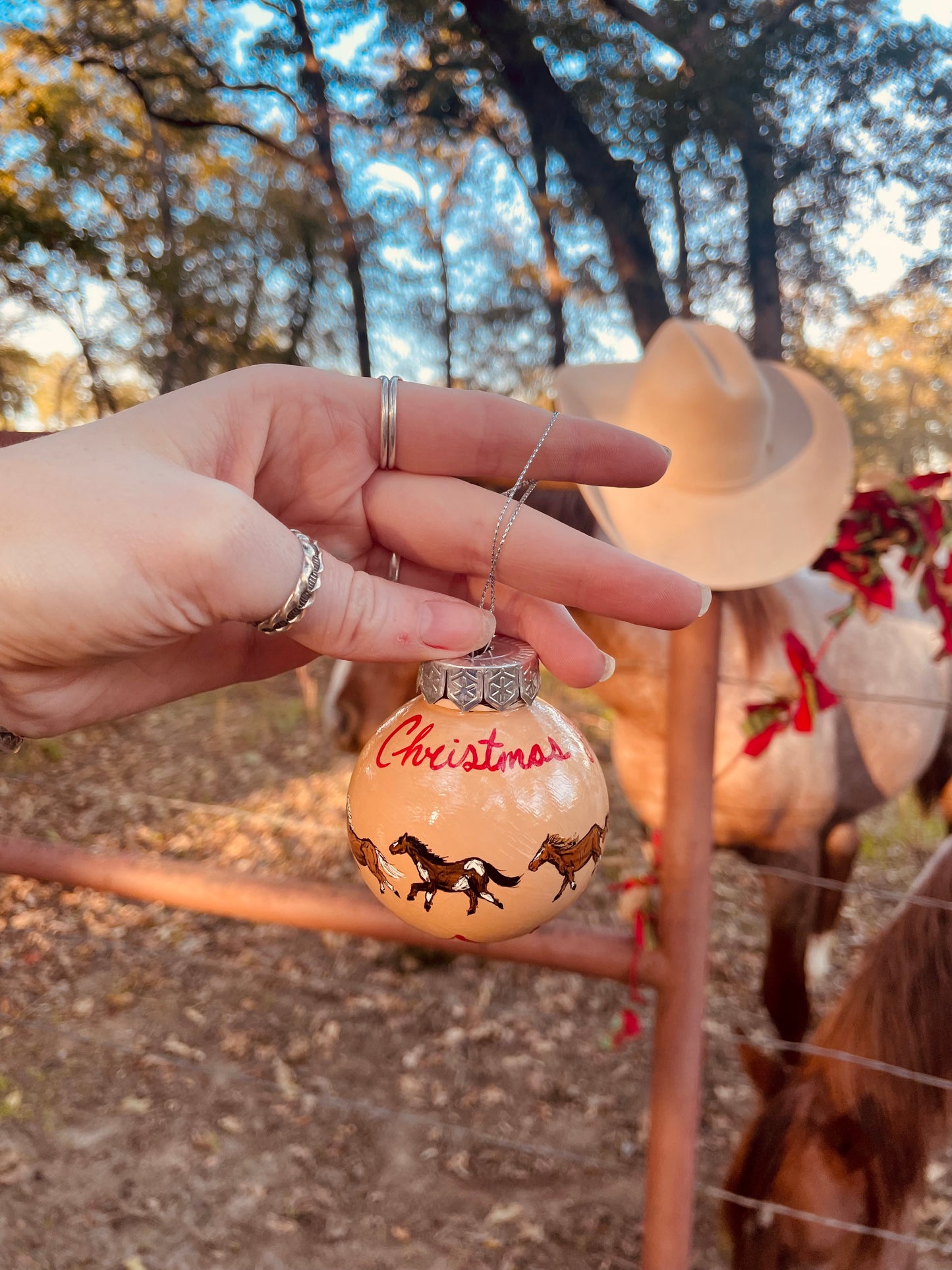 Wild Ponies HANDPAINTED Ornament