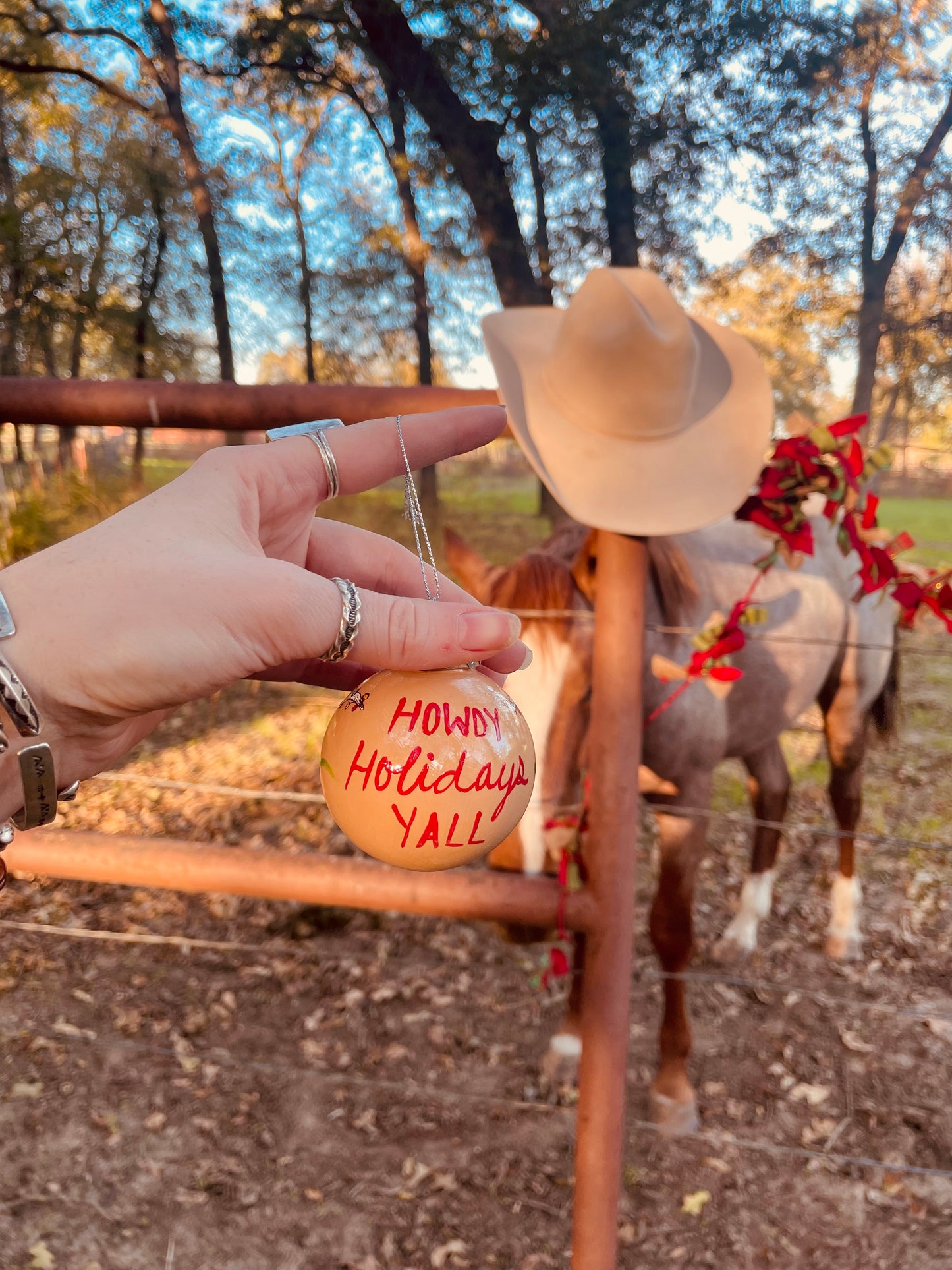 Howdy HANDPAINTED Ornament