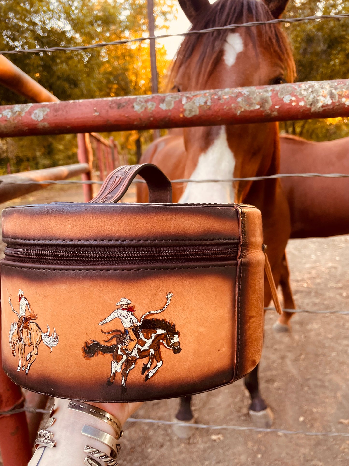 Buckaroo Handpainted Genuine Leather Jewelry Case