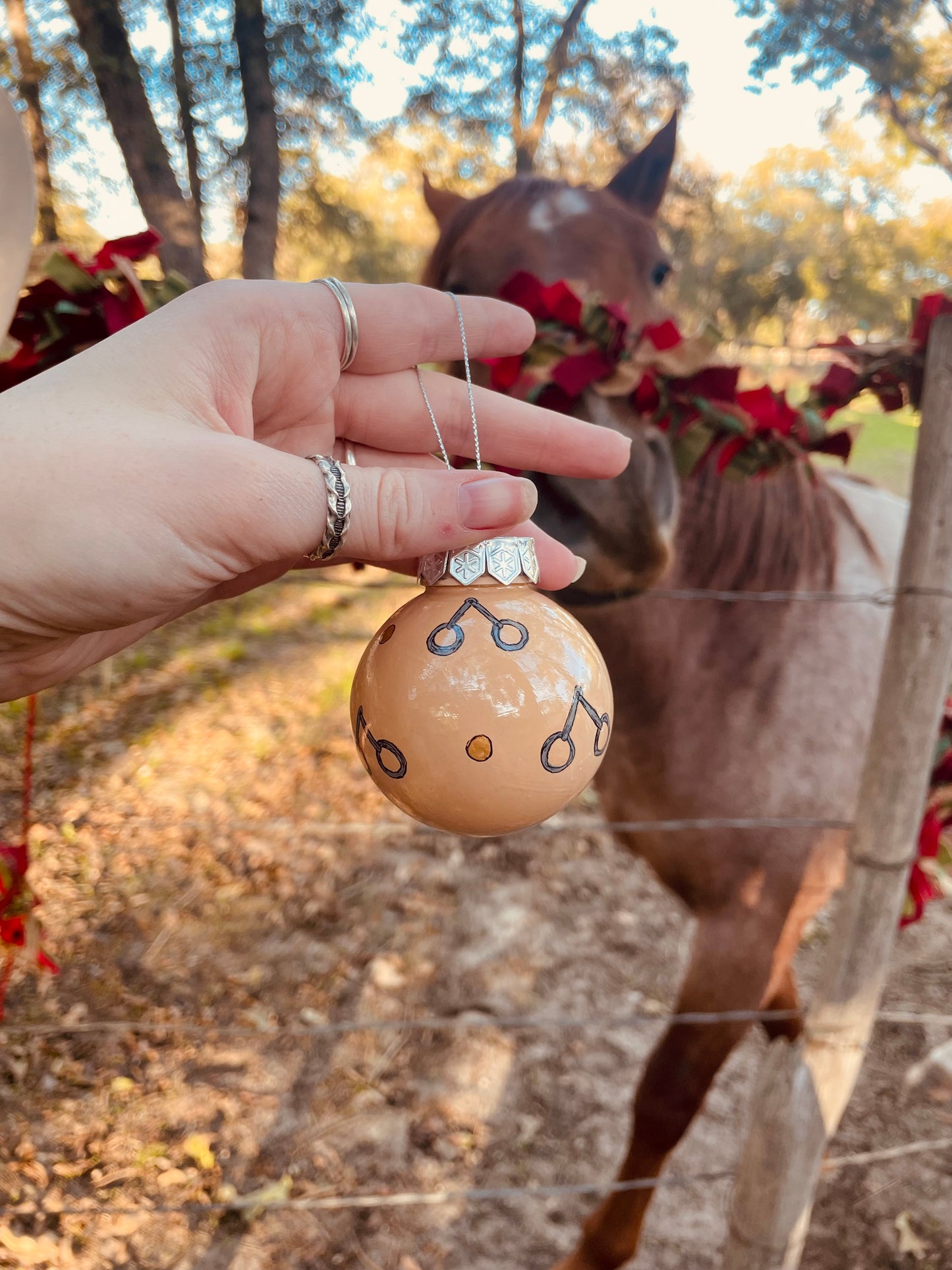 Riding Rank HANDPAINTED Ornament