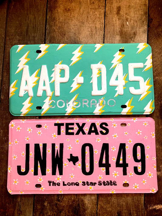 Painted License Plates